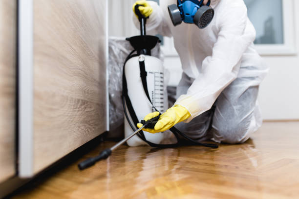 Best Pest Control Near Me  in Holladay, UT