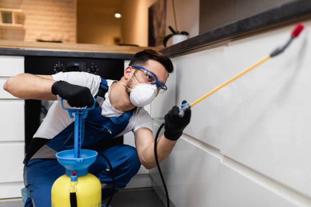 Best Emergency Pest Control  in Holladay, UT