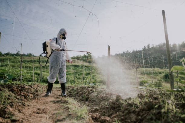Best Pest Control Cost  in Holladay, UT