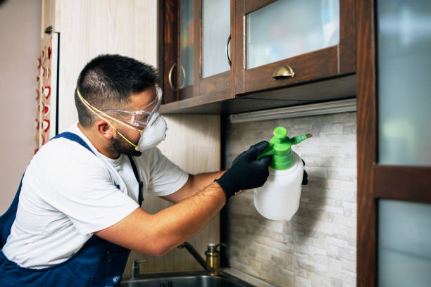 Reliable Holladay, UT Pest Control Solutions