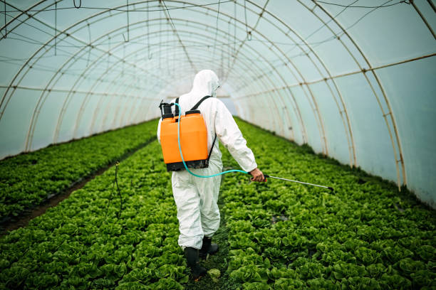 Best Pest Prevention Services  in Holladay, UT
