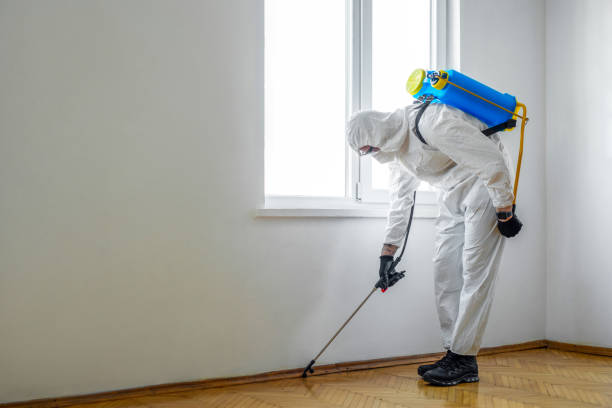 Best Pest Control Near Me in Holladay, UT