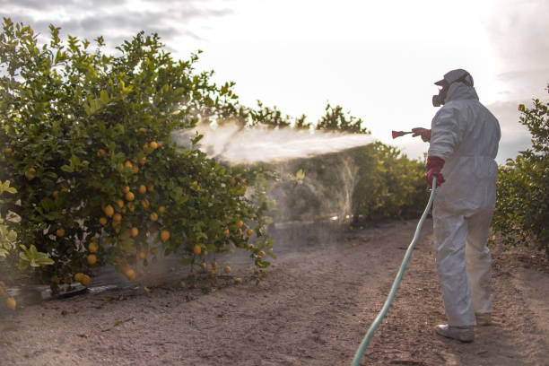 Best Pest Control for Businesses  in Holladay, UT