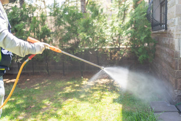 Best Residential Pest Control  in Holladay, UT