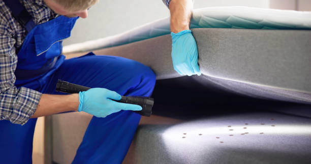 Best Pest Removal Services  in Holladay, UT