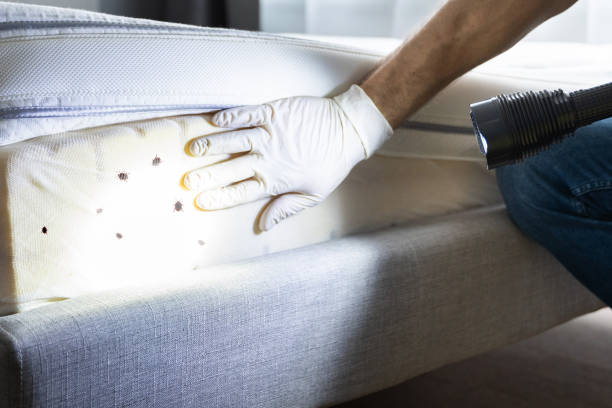 Best Bed Bug Extermination  in Holladay, UT