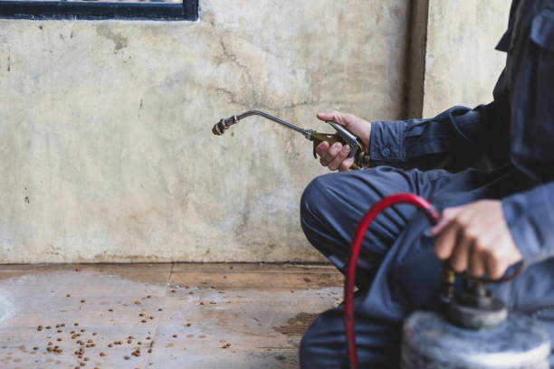 Best Wasp Removal Services  in Holladay, UT